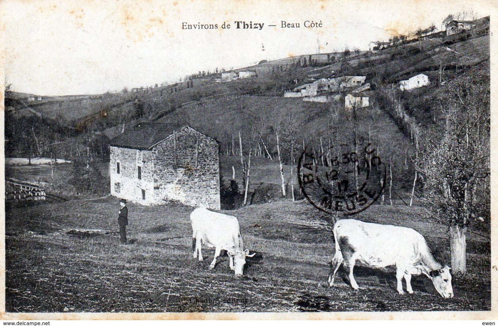 Environs De Thizy. Beau Côté. (Vaches Au Paturage) - Thizy