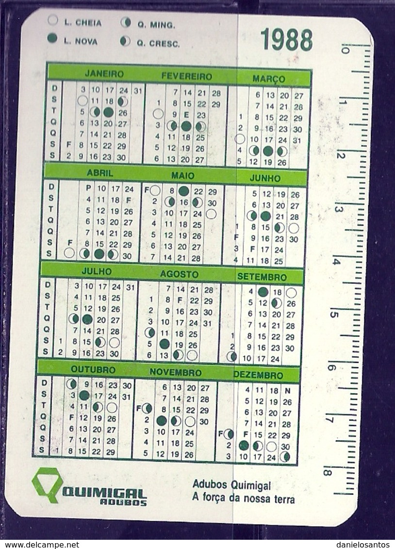 1988 Pocket Calendar Calandrier Calendario Portugal Frutas E Legumes Fruits And Vegetables Legumes Verduras - Grand Format : 1981-90