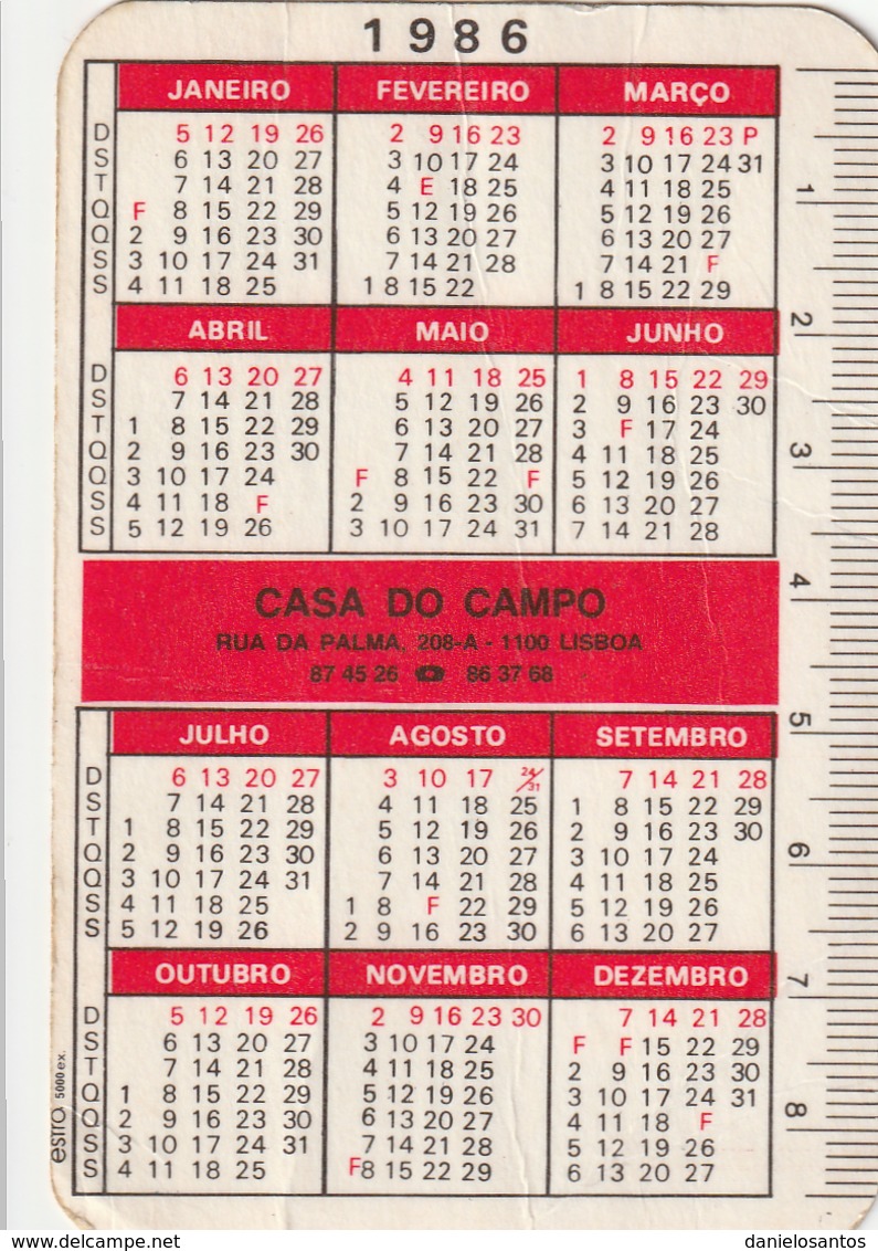 1986 Pocket Calendar Calandrier Calendario Portugal Frutas E Legumes Fruits And Vegetables Legumes Verduras - Grand Format : 1981-90