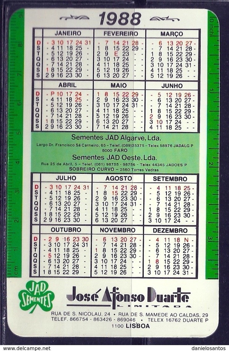 1988 Pocket Calendar Calandrier Calendario Portugal Frutas E Legumes Fruits And Vegetables Legumes Verduras - Grand Format : 1981-90