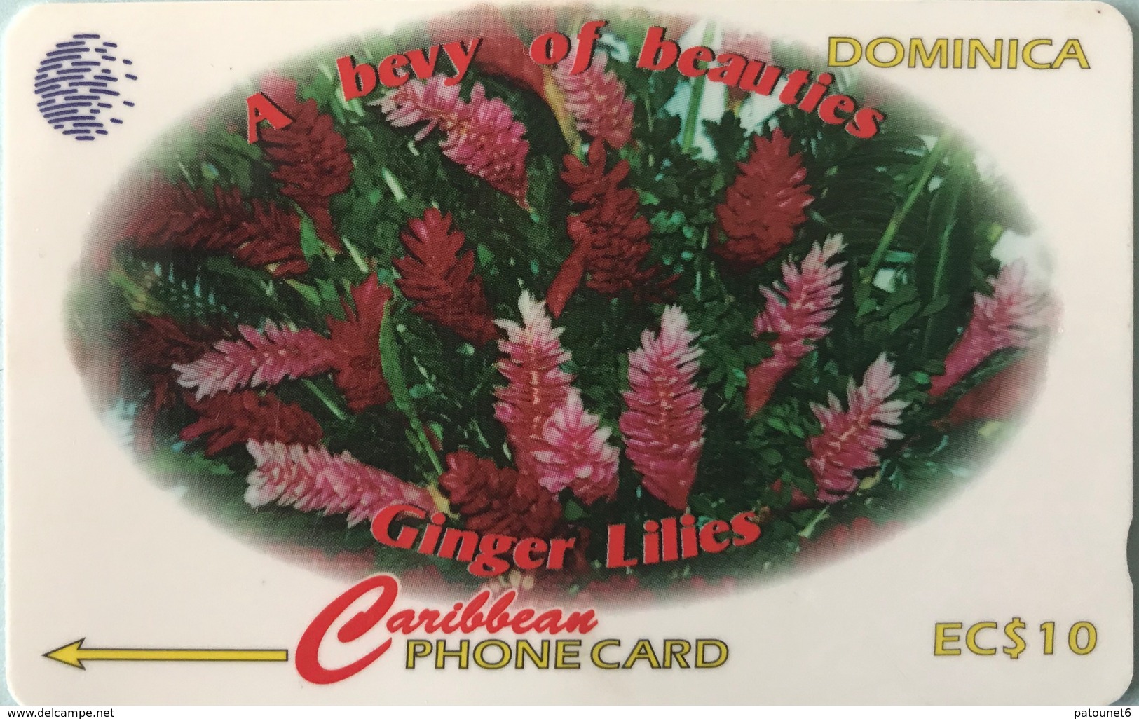 DOMINIQUE - Phonecard  - Cable § Wireless  - Ginger Lilies  -  EC $ 10 - Dominique