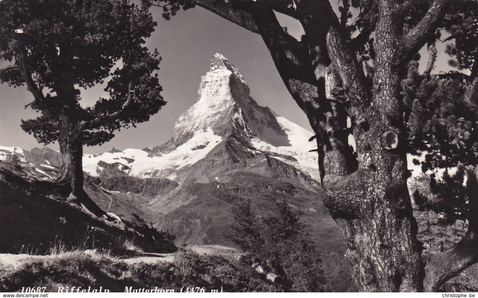 Riffenalp, Matterhorn (pk68748) - Matt