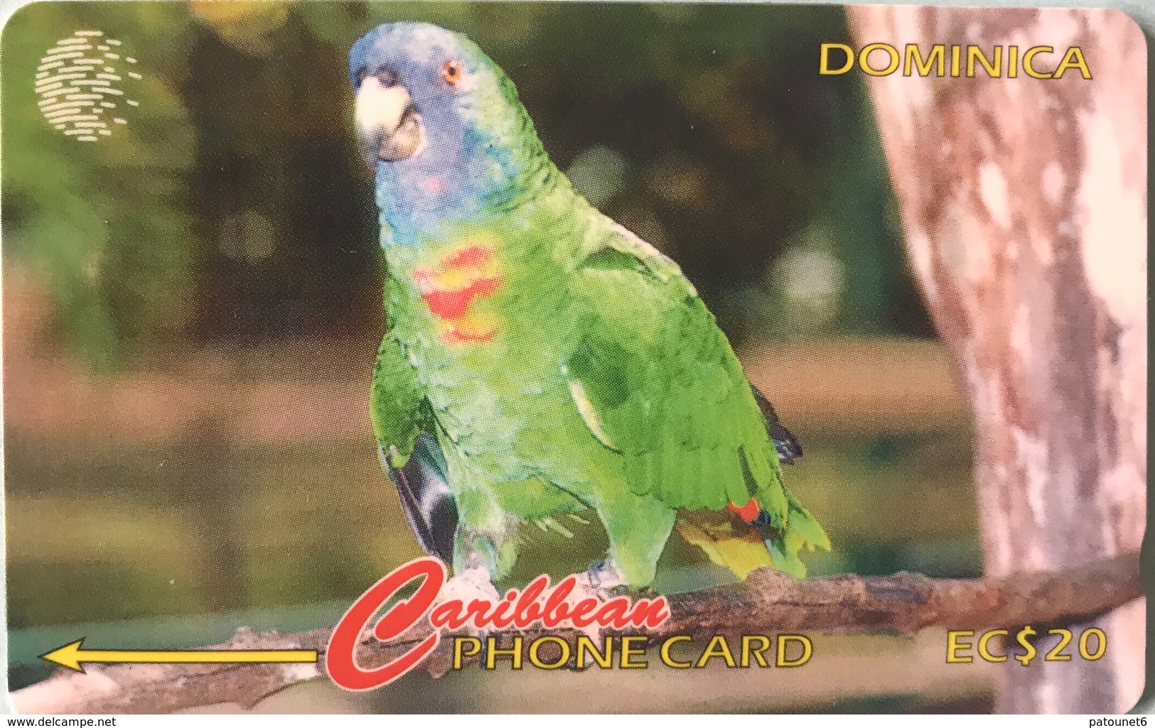 DOMINIQUE  -  Phonecard  -  Cable § Wireless  - Amazona Aurausica  -  EC $ 20 - Dominica