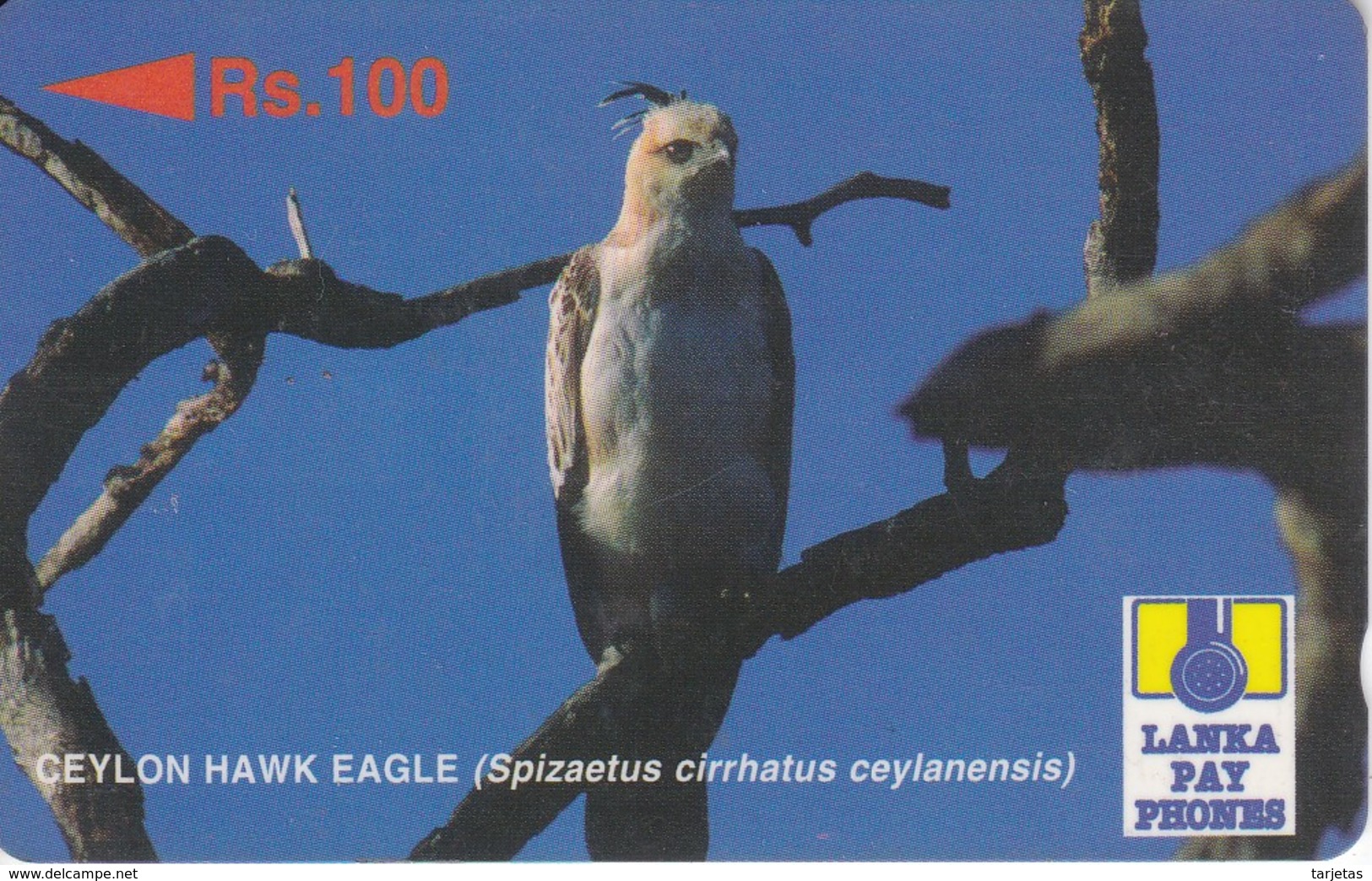 (18SRLa) TARJETA DE SRI LANKA DE UN AGUILA  (BIRD-PAJARO-EAGLE) (con Marcas) - Sri Lanka (Ceylon)