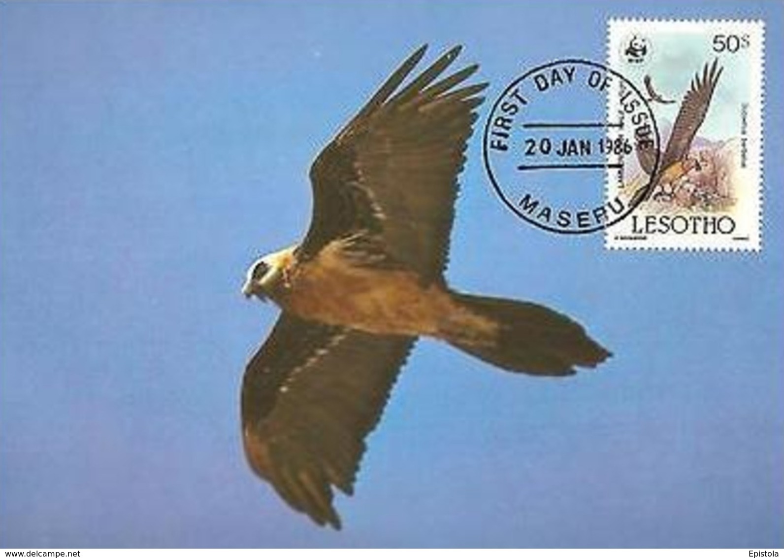 Lammergeier Vulture Bird Of Prey Maxi Card Postcard FDC WWF Lesotho Maseru - Lesotho