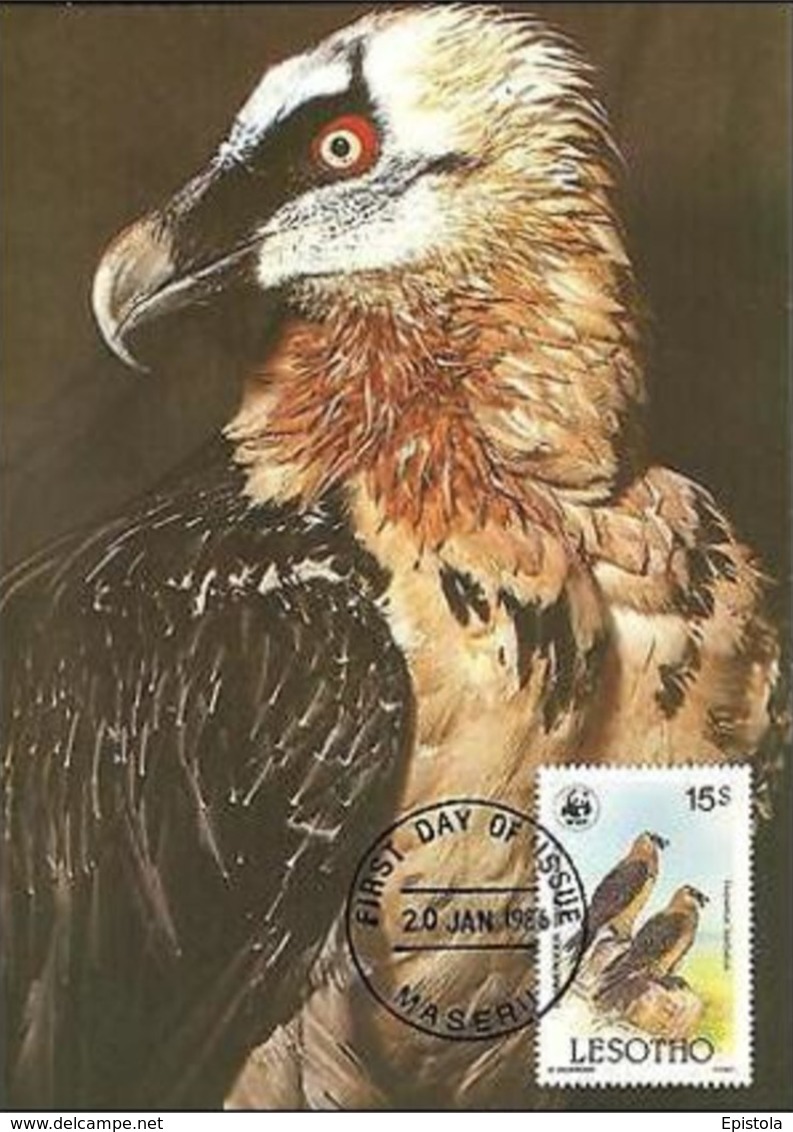 Lammergeier Vulture Bird Of Prey Maxi Card Postcard FDC WWF Lesotho Maseru - Lesotho