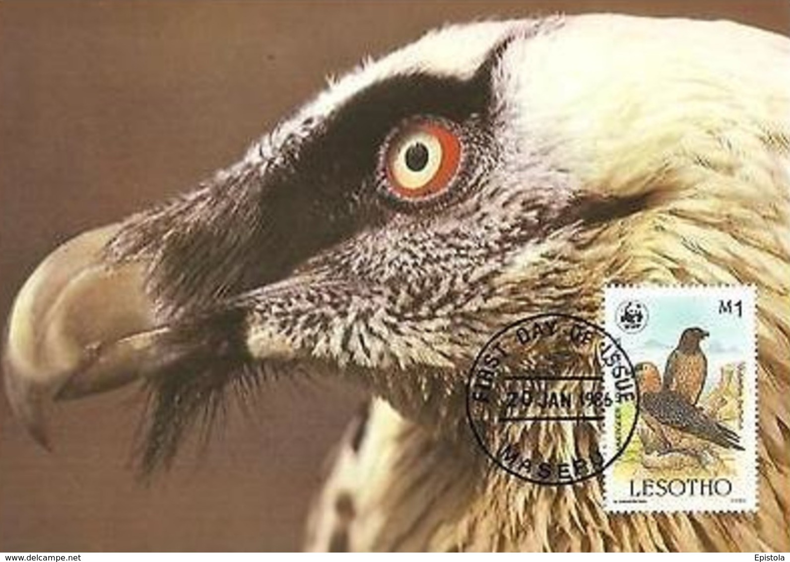 Lammergeier Vulture Bird Of Prey Maxi Card Postcard FDC WWF Lesotho Maseru - Lesotho