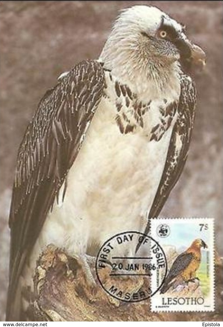 Lammergeier Vulture Bird Of Prey Maxi Card Postcard FDC WWF Lesotho Maseru - Lesotho