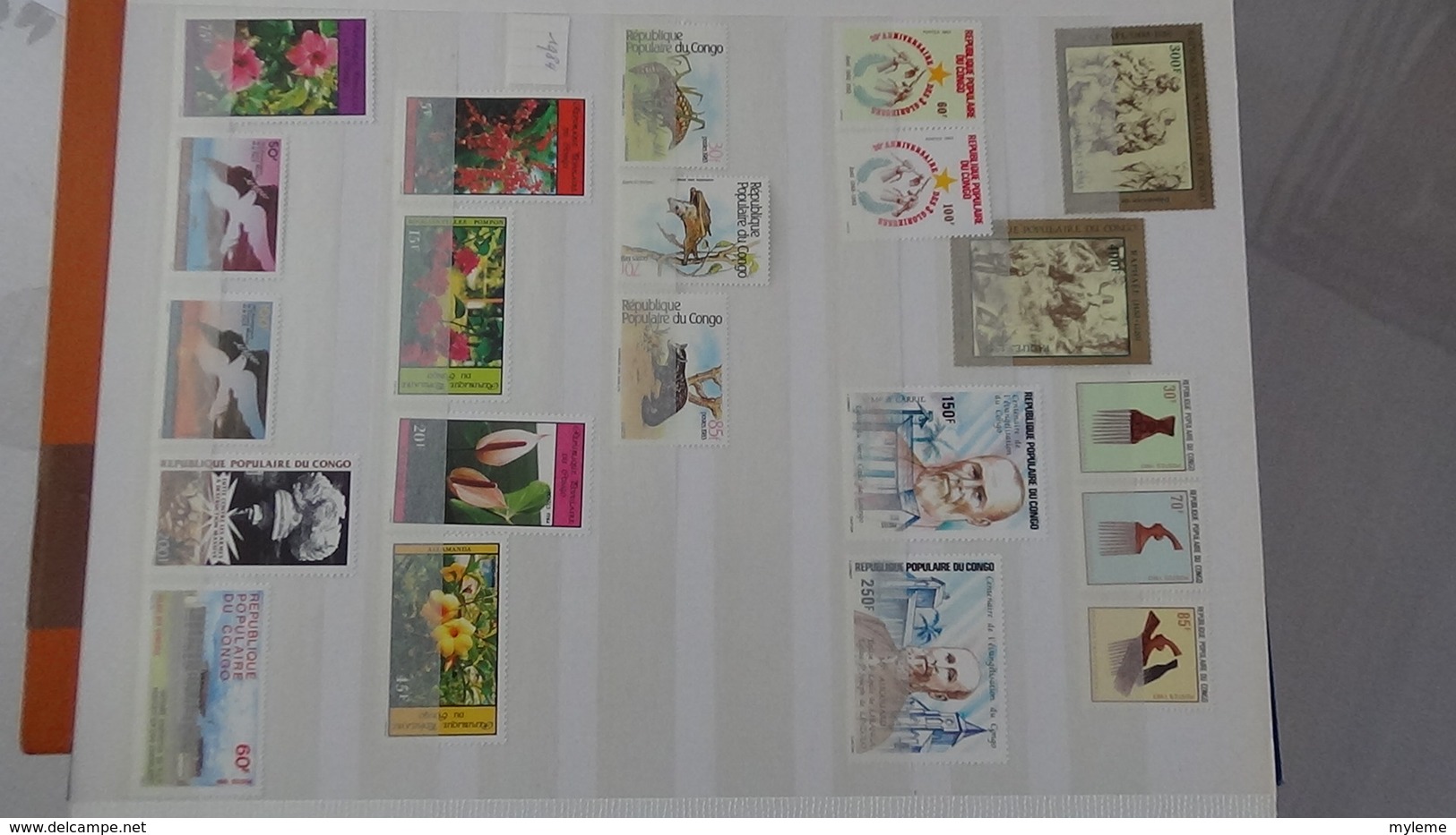 D13 Dispersion d'une très grosse collection de timbres et blocs ** d'Afrique dont Congo et Côte d'Ivoire. Voir commentai