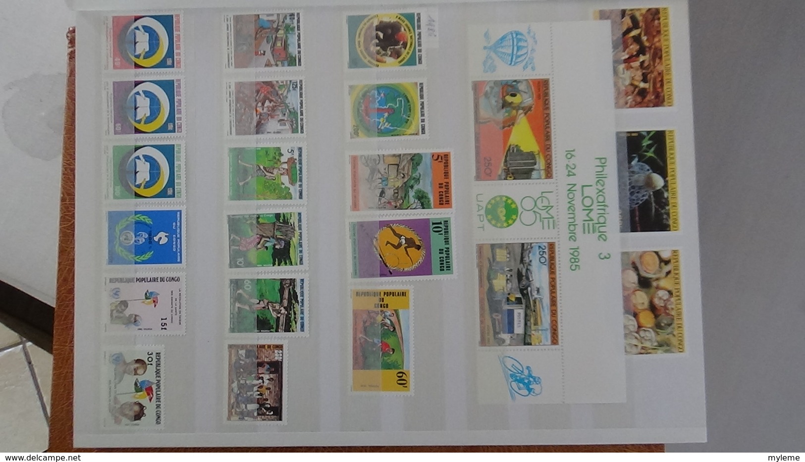 D13 Dispersion d'une très grosse collection de timbres et blocs ** d'Afrique dont Congo et Côte d'Ivoire. Voir commentai