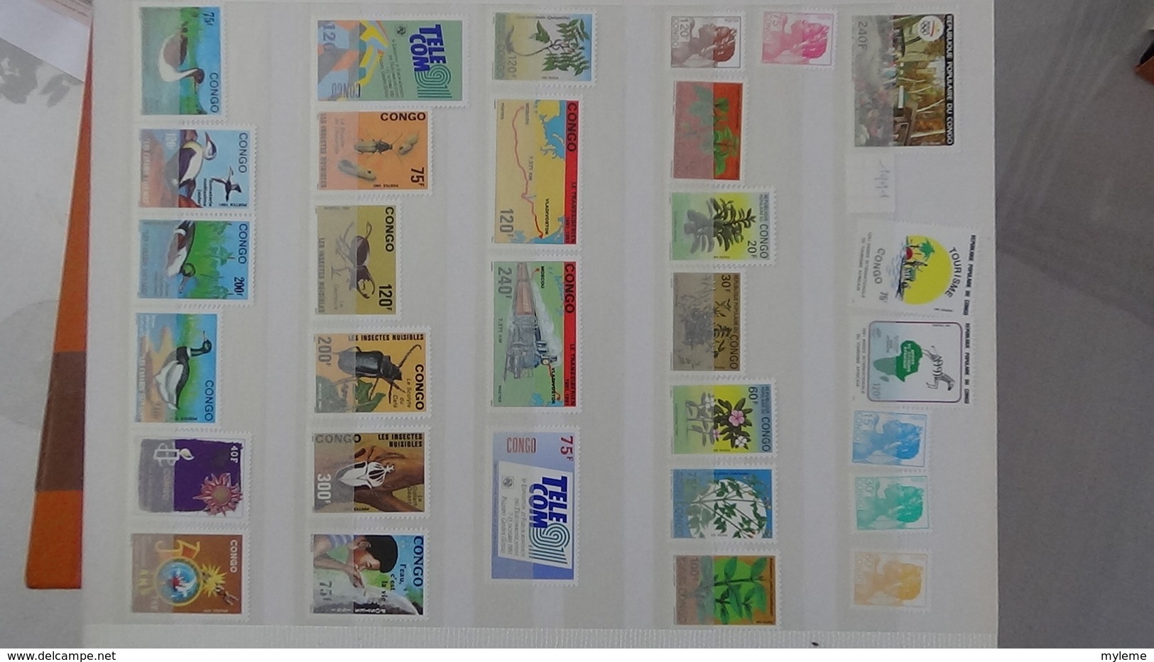 D13 Dispersion d'une très grosse collection de timbres et blocs ** d'Afrique dont Congo et Côte d'Ivoire. Voir commentai