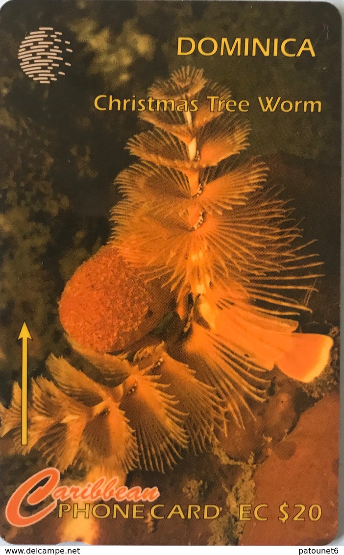 DOMINIQUE  -  Phonecard  -  Cable § Wireless  - Christmas Tree Worm  -  EC $ 20 - Dominica