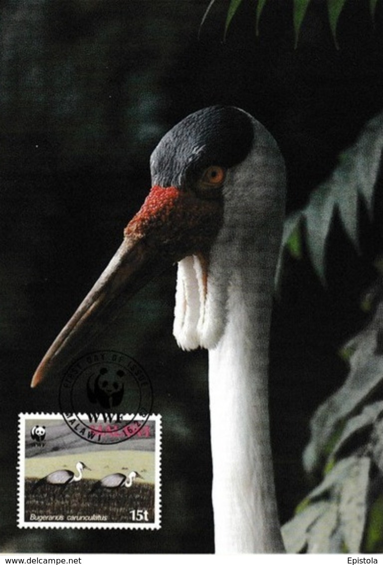Oiseaux (Wattled Crane) Birds MALAWI Animals Aves Faune Carte Maximum Card WWF - Malawi