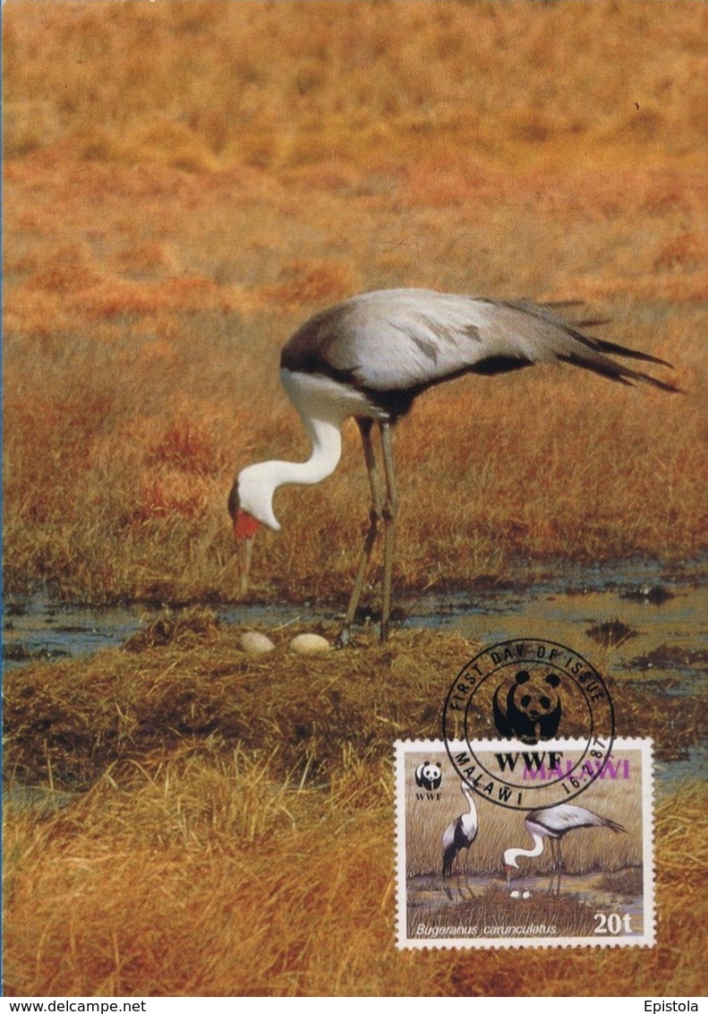 Oiseaux (Wattled Crane) Birds MALAWI Animals Aves Faune Carte Maximum Card WWF - Malawi