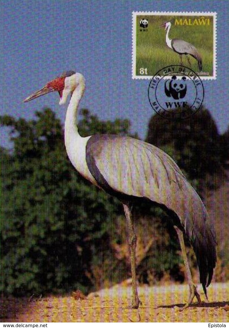 Oiseaux (Wattled Crane) Birds MALAWI Animals Aves Faune Carte Maximum Card WWF - Malawi