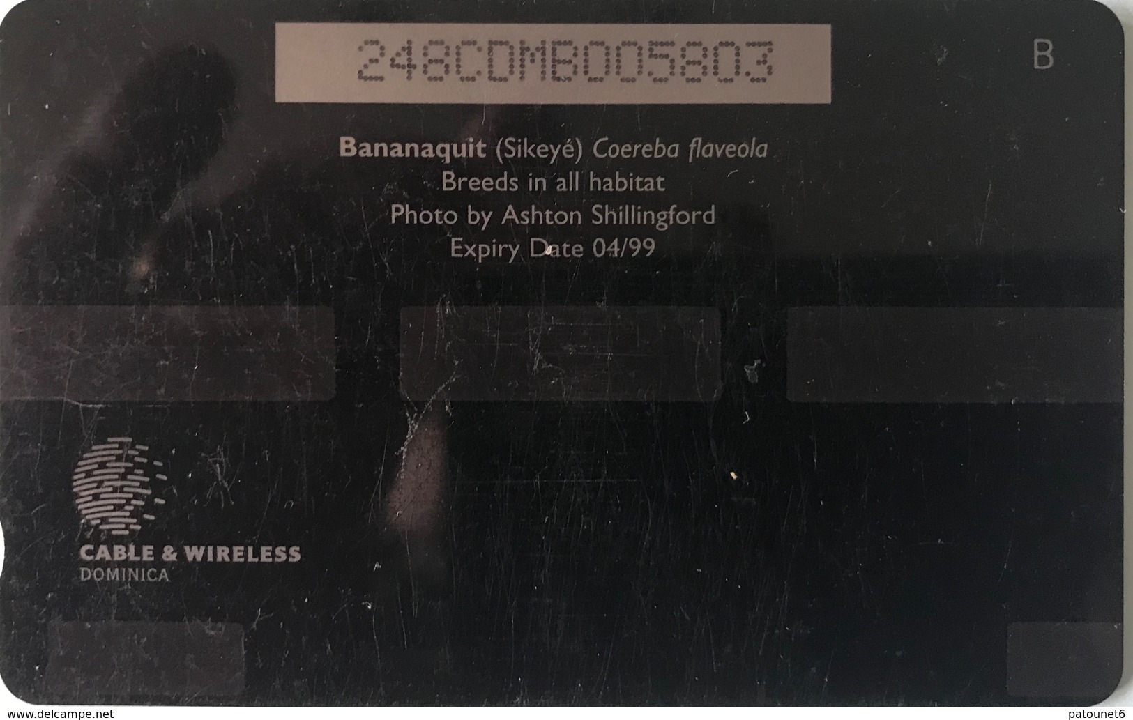 DOMINIQUE  -  Phonecard  -  Cable § Wireless  - Bananaquit  -  EC $ 20 - Dominica