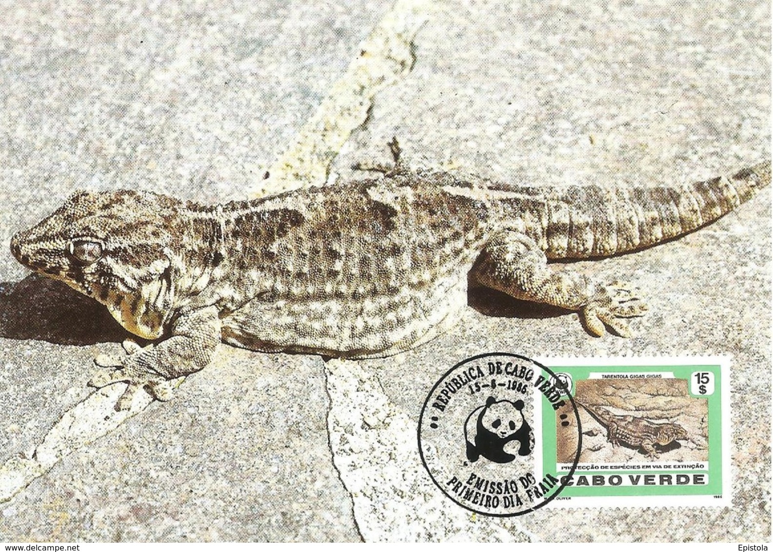 Cabo Verde 1986 , Maximum Card - Giant Cape Verde Gecko - WWF - First Day 15-6-1896 - Cap Vert