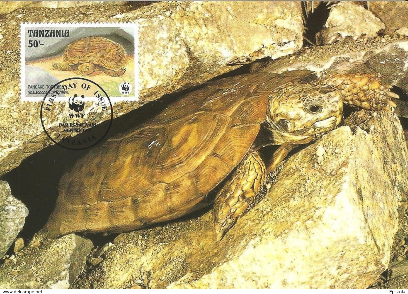 1993 - DAR ES SALAAM Tanzania - Pancake Tortoise - Tortue De Tornier - Tanzanie