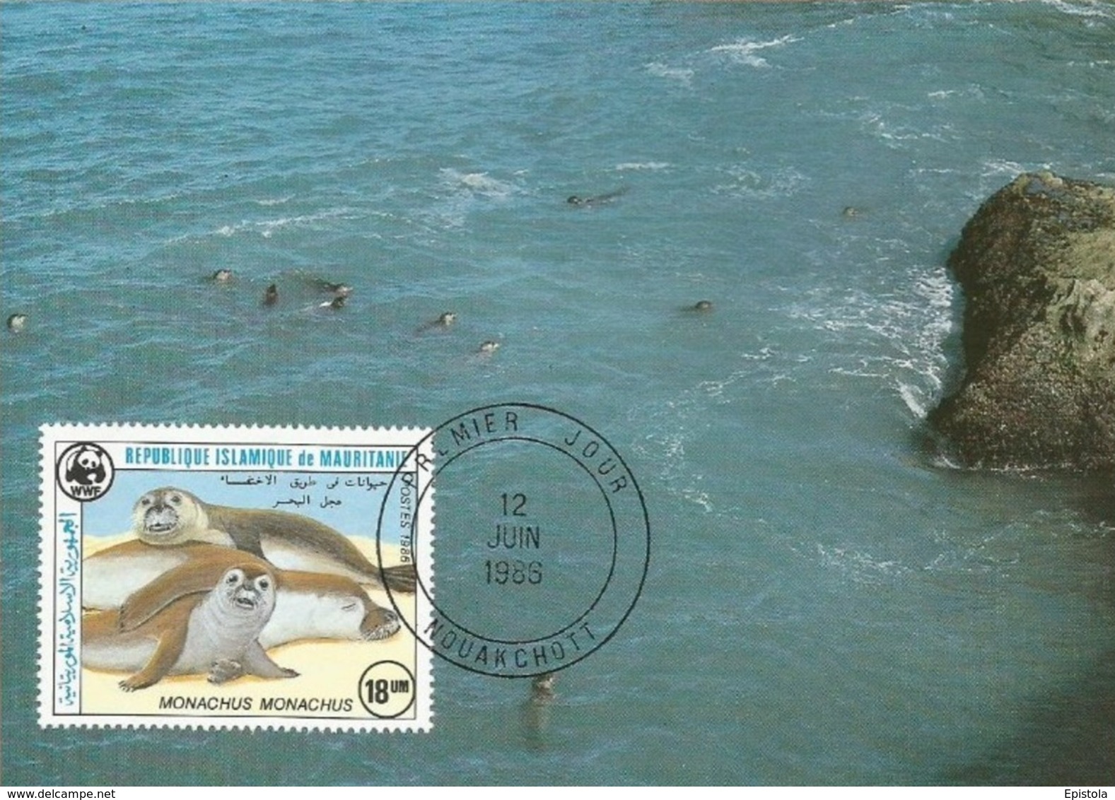 1986 - NOUAKCHOTT - Monk Seal - Moine Otarie Maximum Card - Mediterranean Monk Seal - WWF - First Day 12 JUIN 1986 - Mauritania