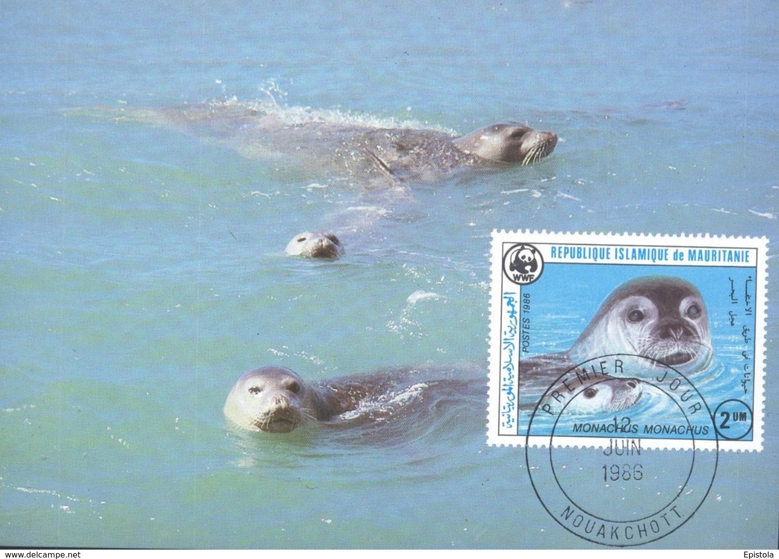 1986 - NOUAKCHOTT - Monk Seal - Moine Otarie Maximum Card - Mediterranean Monk Seal - WWF - First Day 12 JUIN 1986 - Mauritanie
