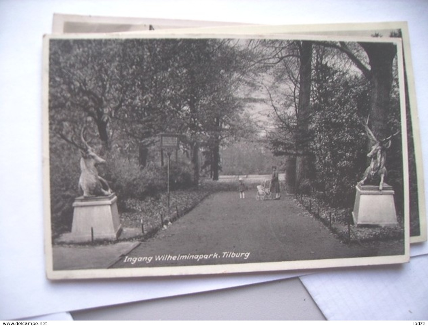 Nederland Holland Pays Bas Tilburg Met Ingang Wilhelminapark - Tilburg