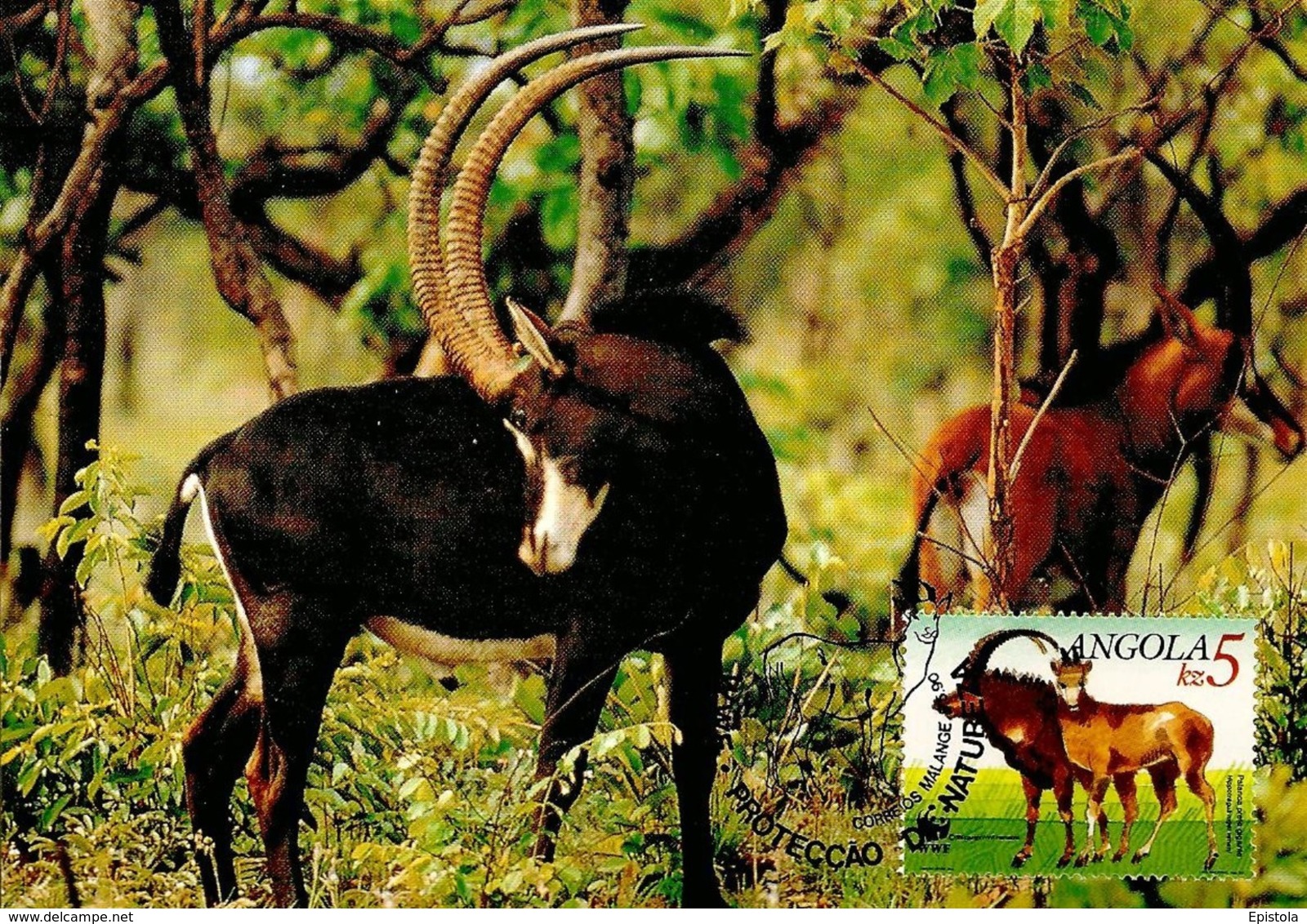 1990 - ANGOLA - Giant Sable Antelope - Angola