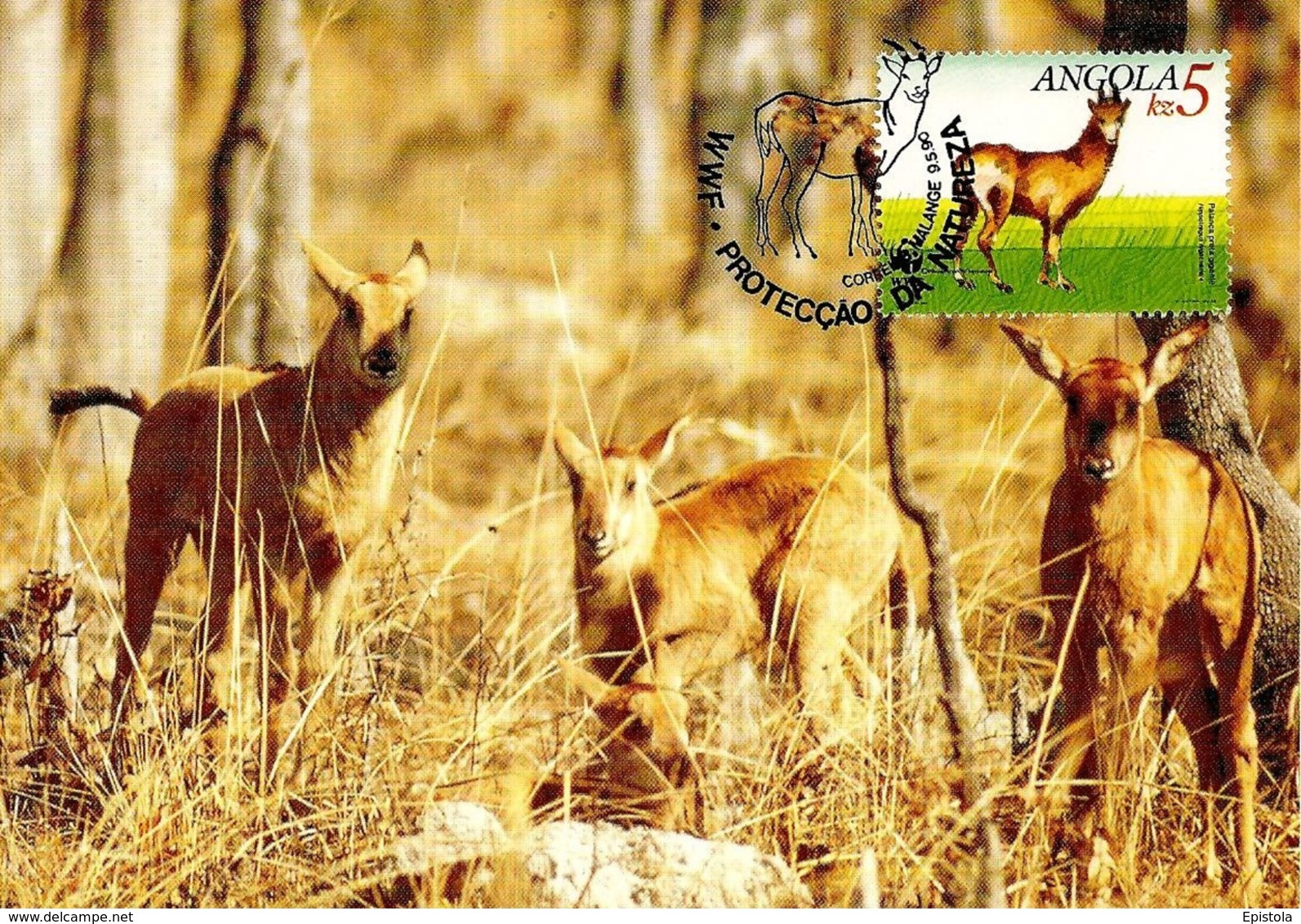 1990 - ANGOLA - Giant Sable Antelope - Angola