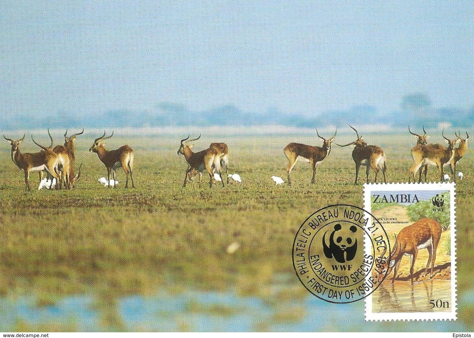 1987 - Zambia NDOLA - Black Lechwe - Antilope - Zambie