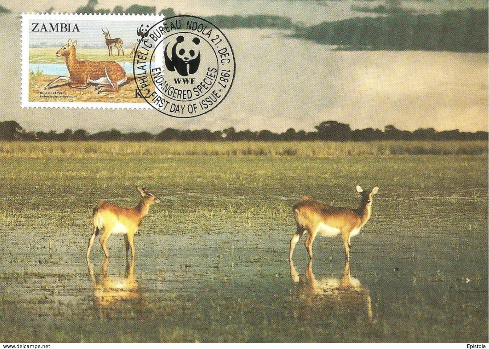 1987 - Zambia NDOLA - Black Lechwe - Antilope - Zambie