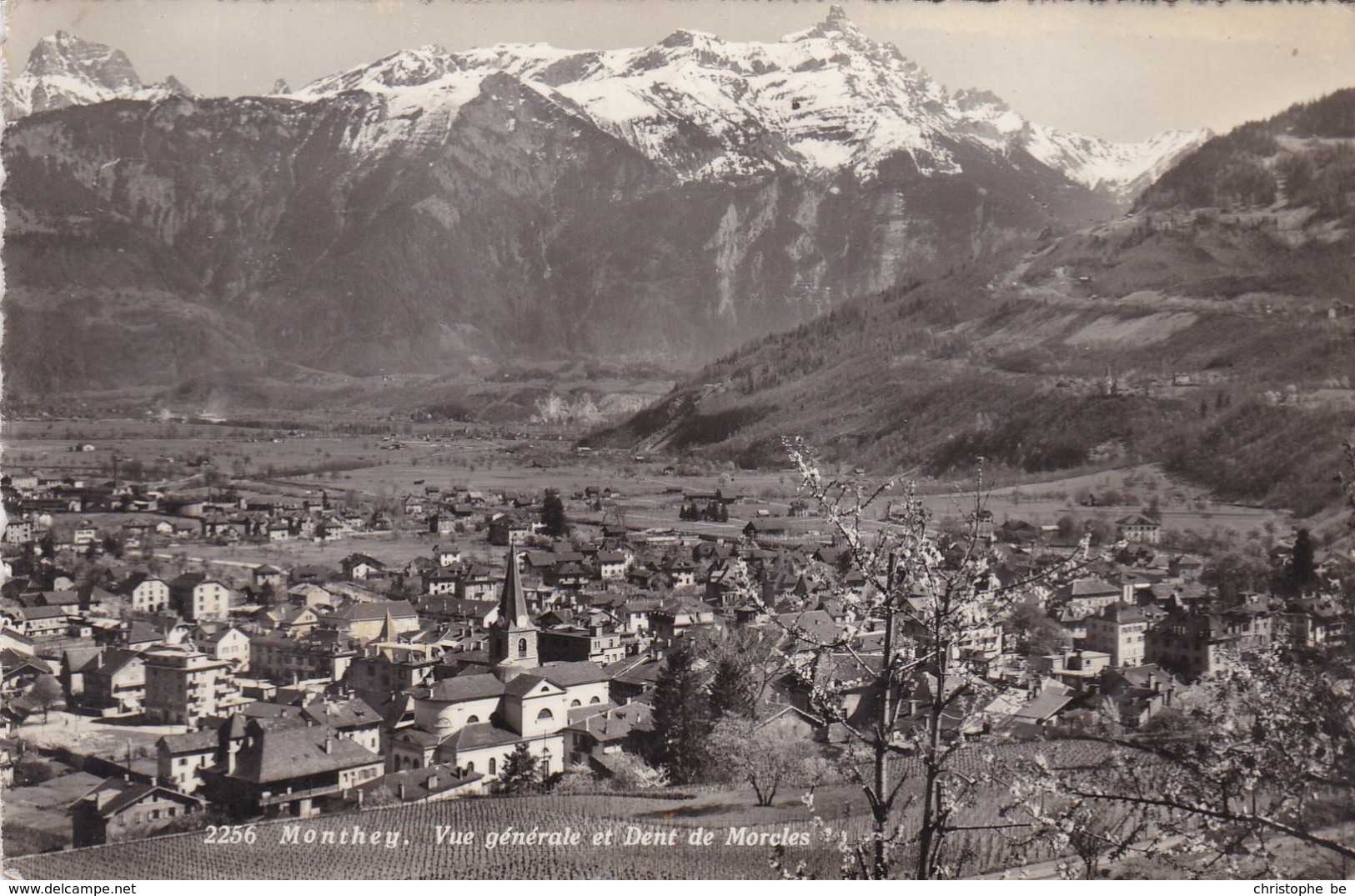 Monthey, Vue Générale Et Dent De Morcles (pk68768) - Monthey