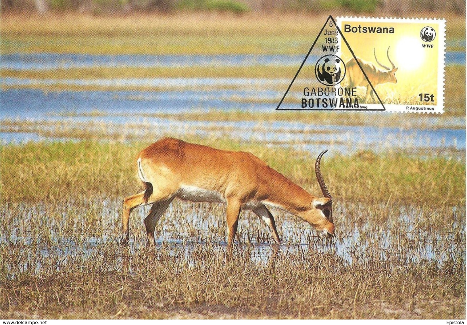 1988 - BOTSWANA GABORONE - Red Lechwe - Antilope Kobus Leche - Botswana