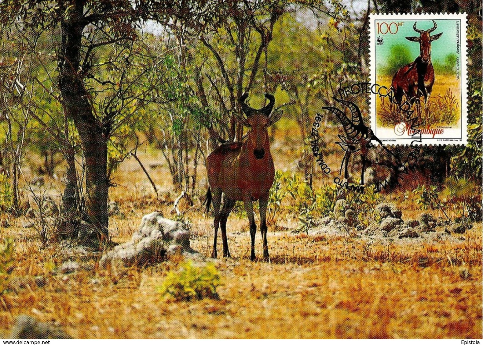 1991 - MOCAMBIQUE Maputo - Mozambique - Bubale De Lichtenstein - Antilope Hartebeest - Mozambique