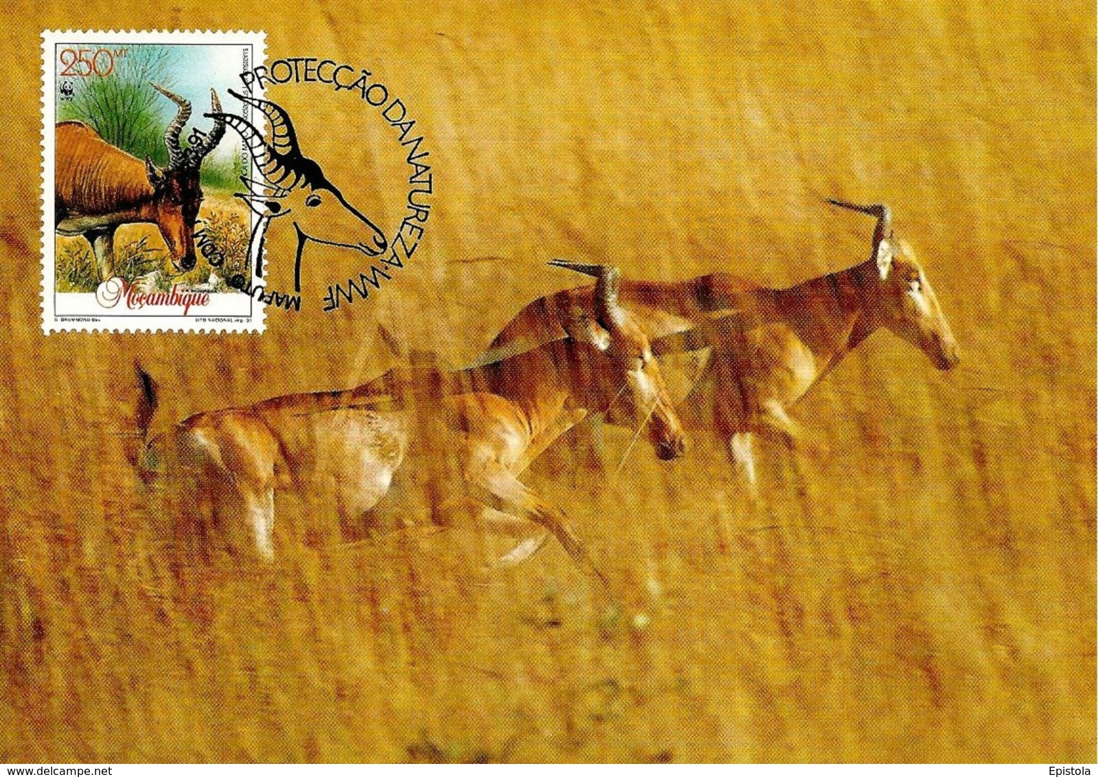 1991 - MOCAMBIQUE Maputo - Mozambique - Bubale De Lichtenstein - Antilope Hartebeest - Mozambique