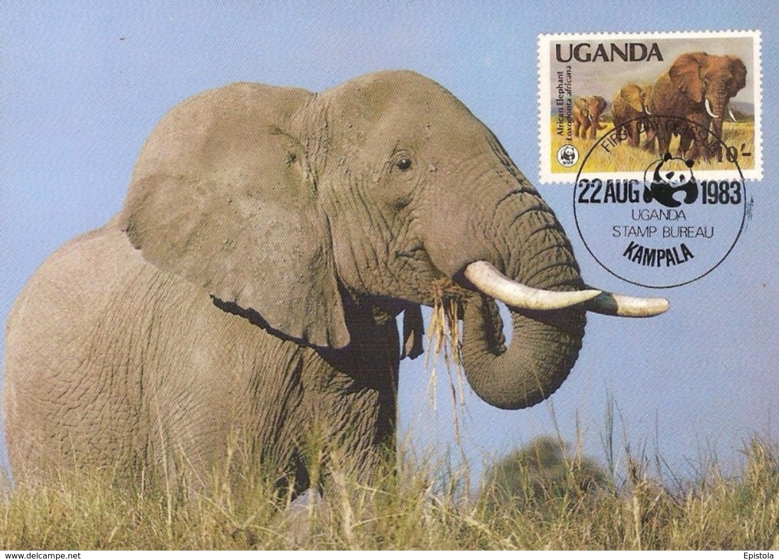 WWF, Uganda Kampala  1983, The African Elephant, Carte Maximum - Ouganda