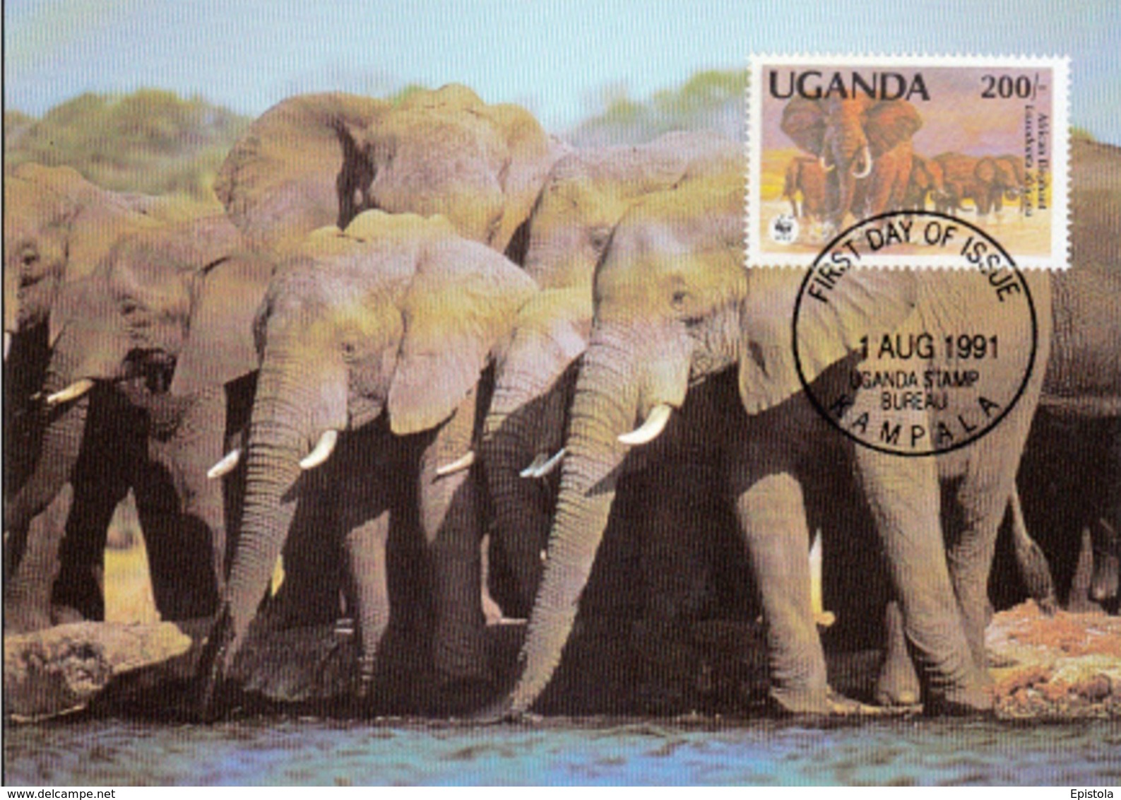 WWF, Uganda Kampala 1991 The African Elephant, Carte Maximum - Uganda