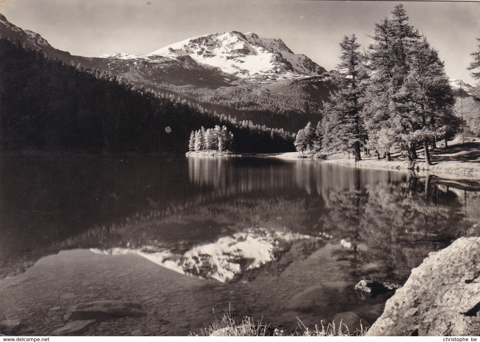 Champfer Silvaplana, Piz Corvatsch (pk68815) - Silvaplana