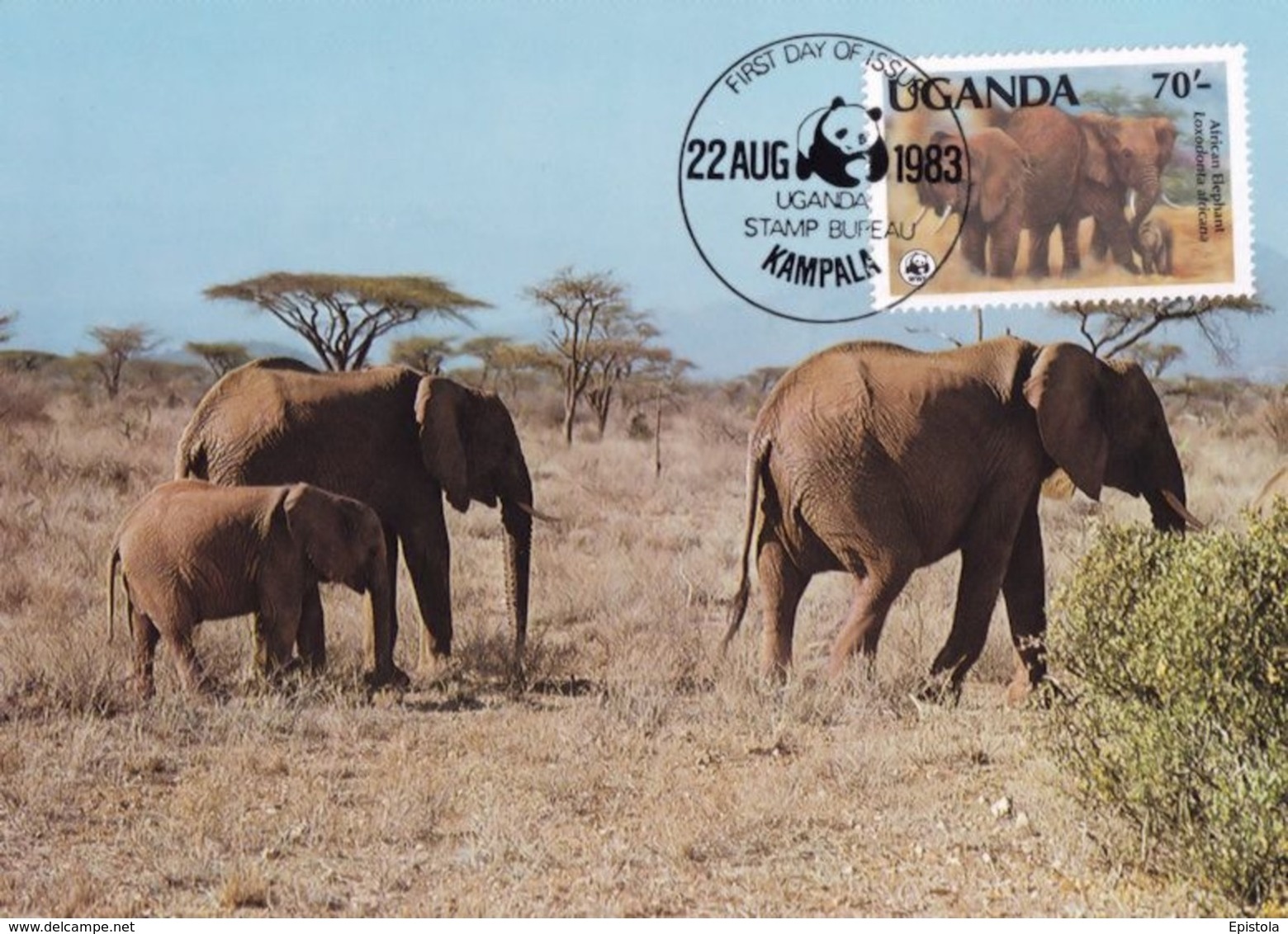 WWF, Uganda Kampala  1983, The African Elephant, Carte Maximum - Ouganda