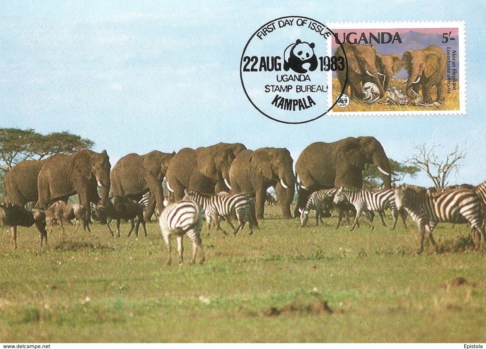 WWF, Uganda Kampala  1983, The African Elephant, Carte Maximum - Ouganda