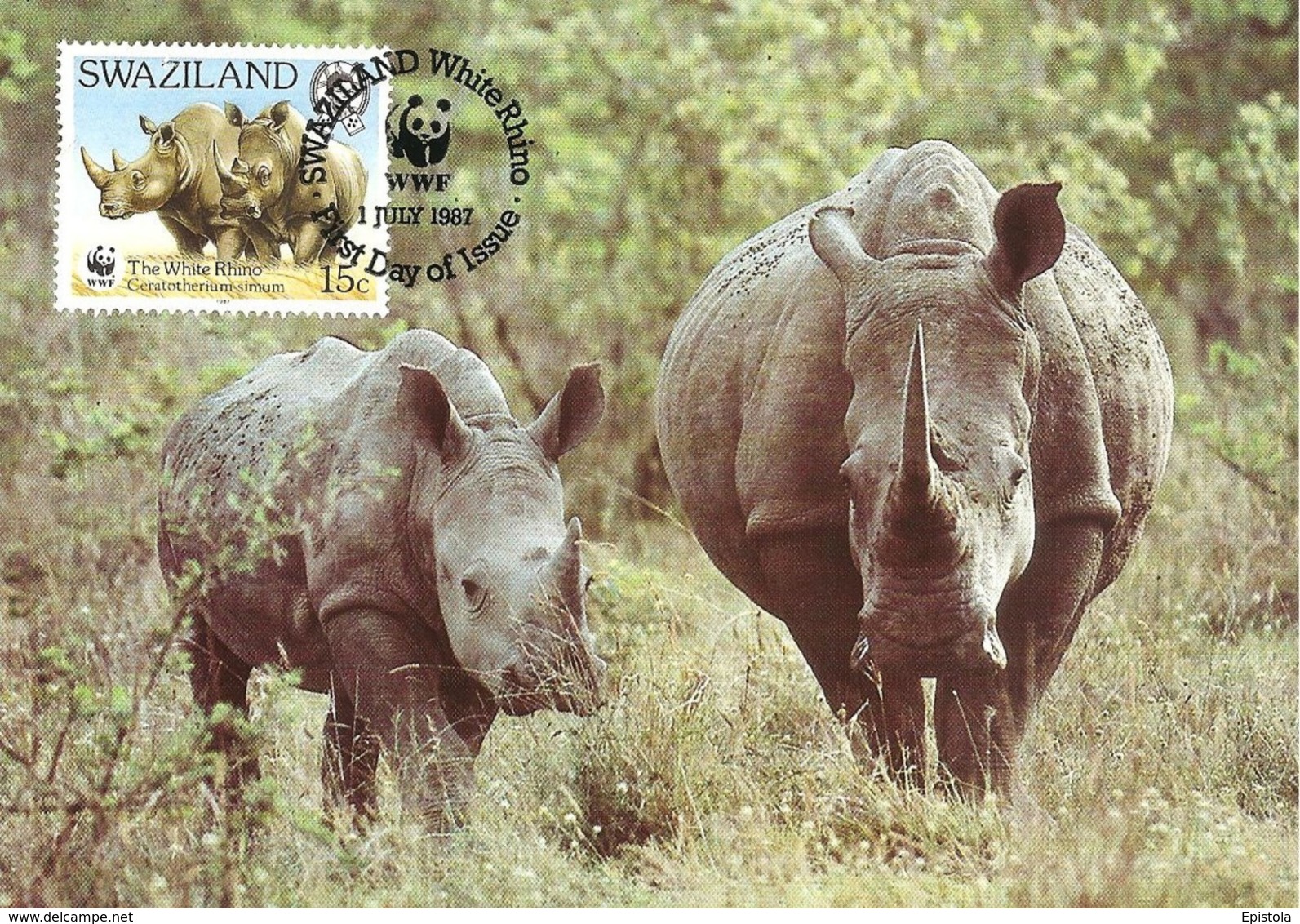 1987 - SWAZILAND - White Rhino - Rhinoceros Blanc - Swaziland