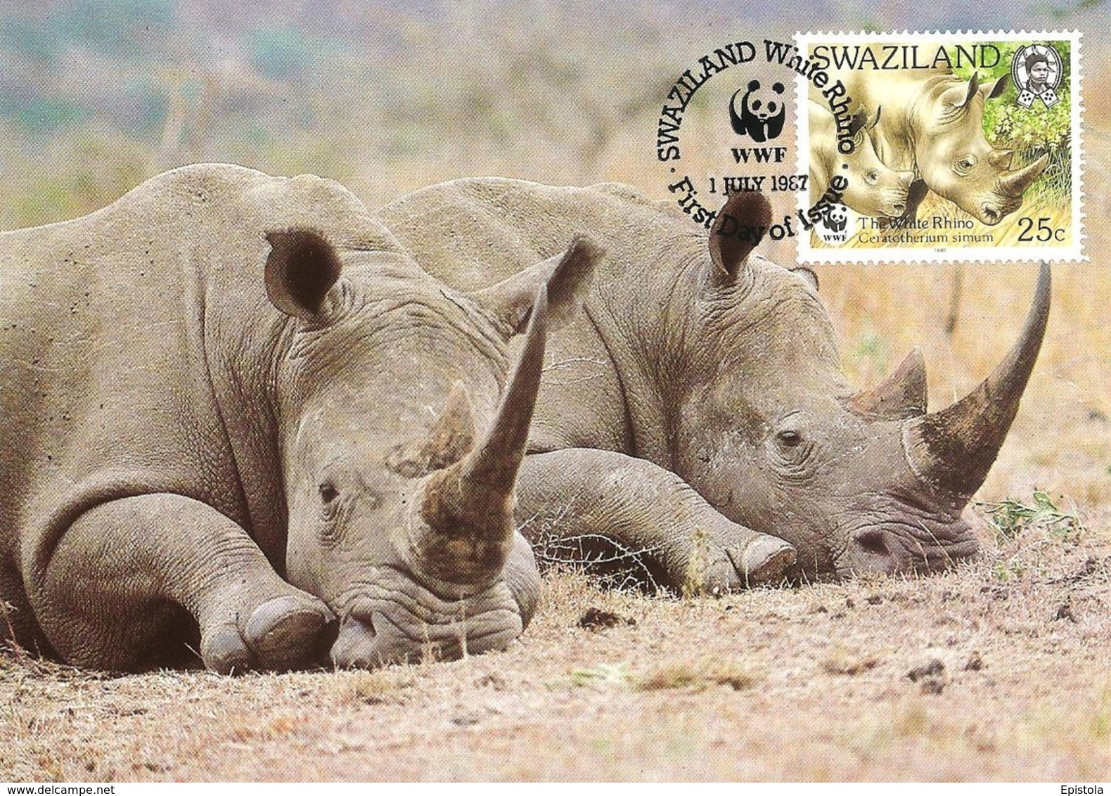 1987 - SWAZILAND - White Rhino - Rhinoceros Blanc - Swaziland