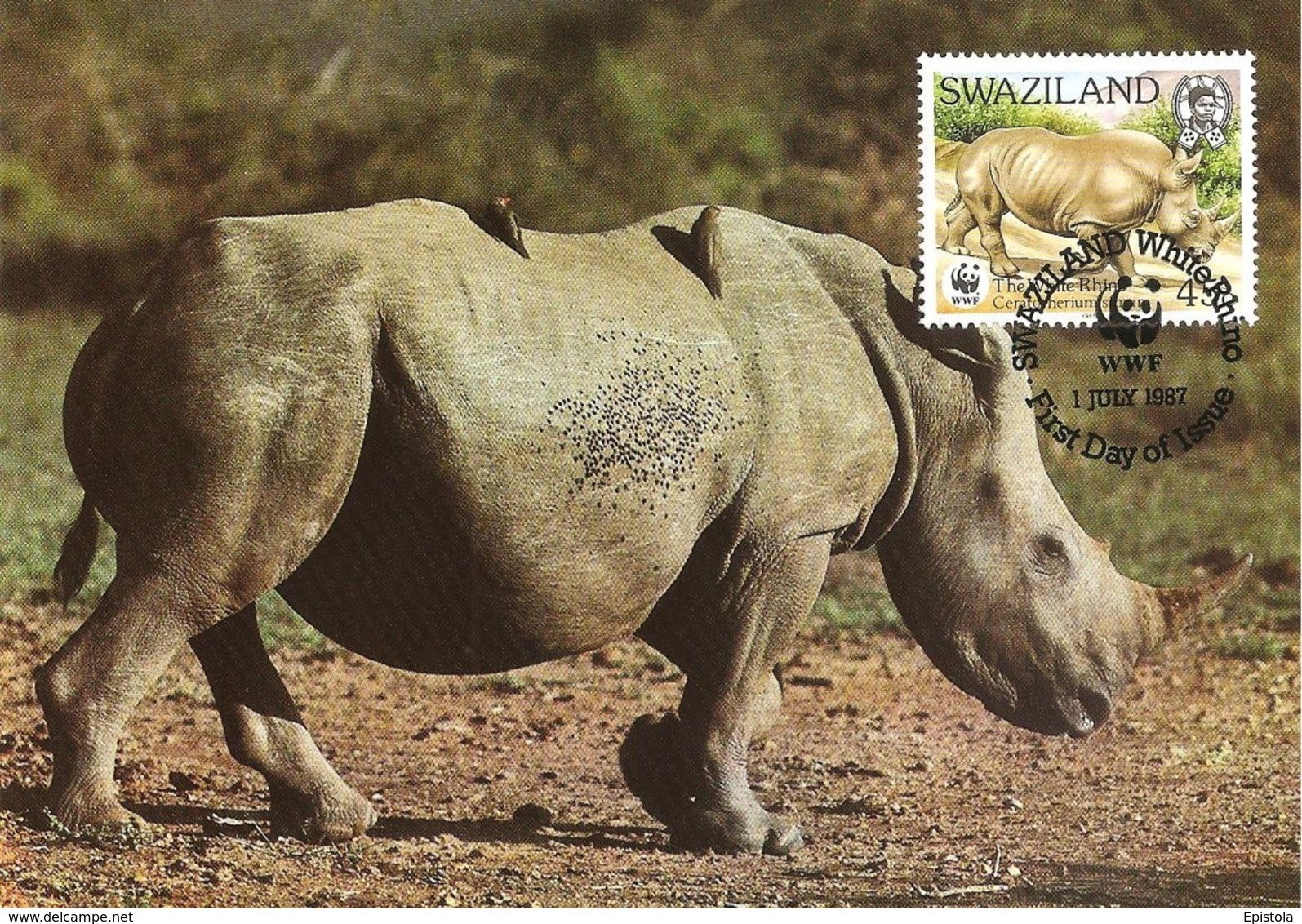 1987 - SWAZILAND - White Rhino - Rhinoceros Blanc - Swazilandia