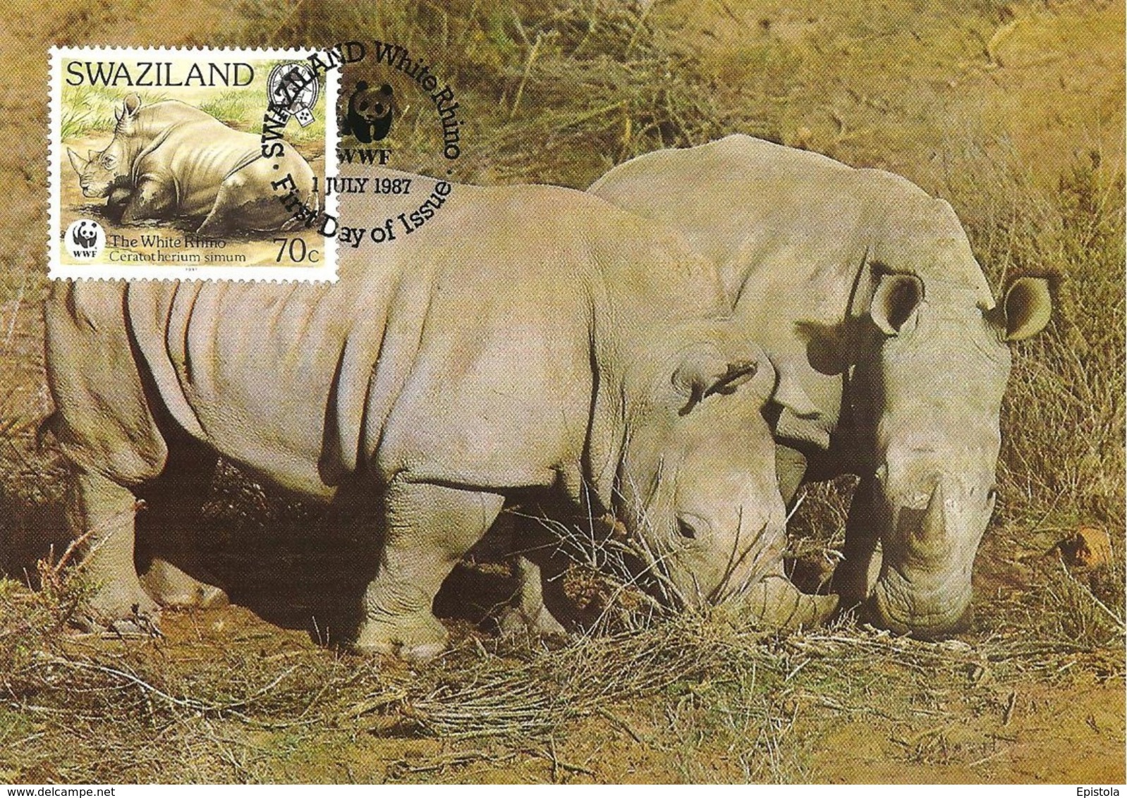 1987 - SWAZILAND - White Rhino - Rhinoceros Blanc - Swazilandia