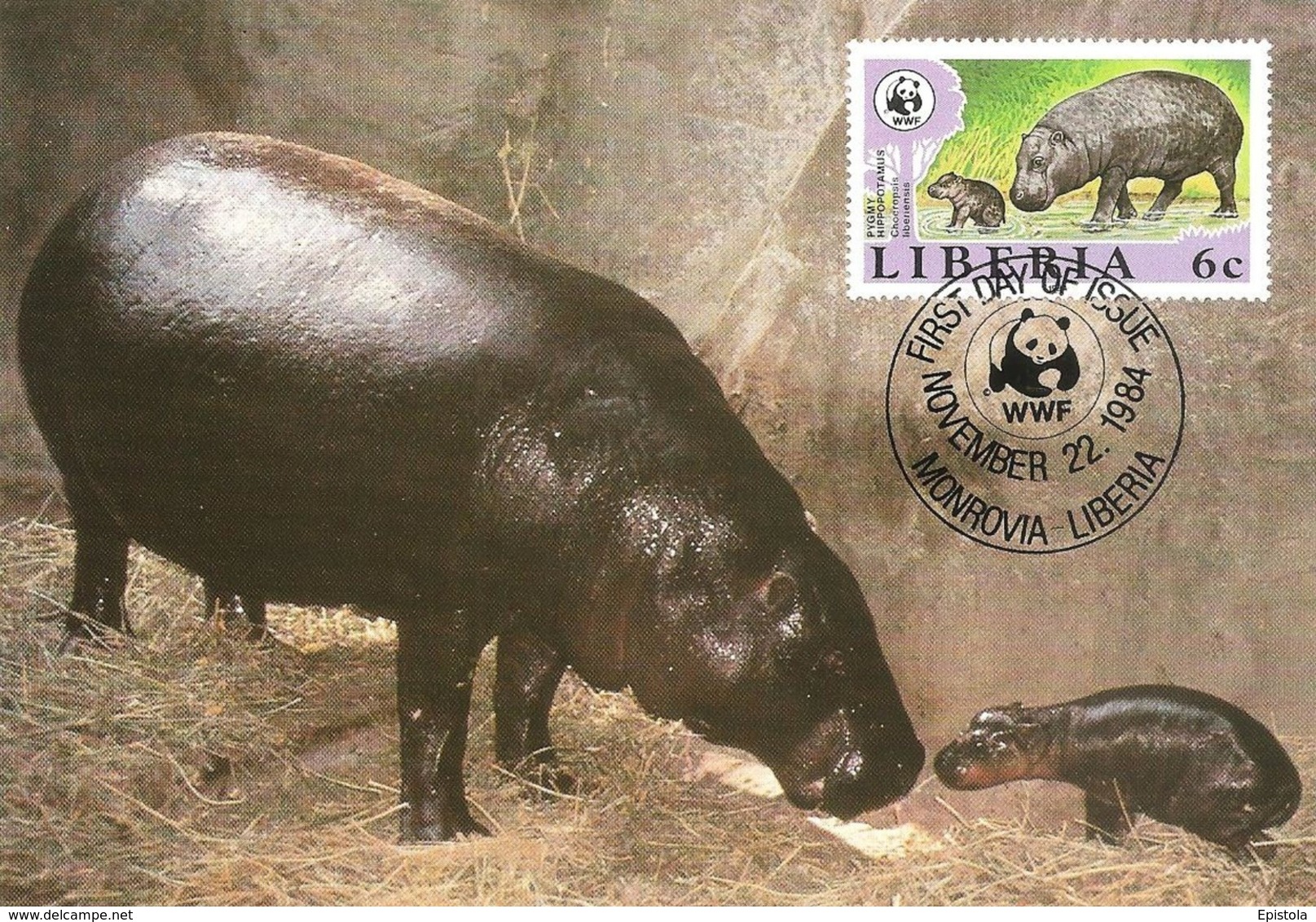 1984 - LIBERIA Monrovia - Pygmy Hippopotamus - Hippopotame Nain - Liberia