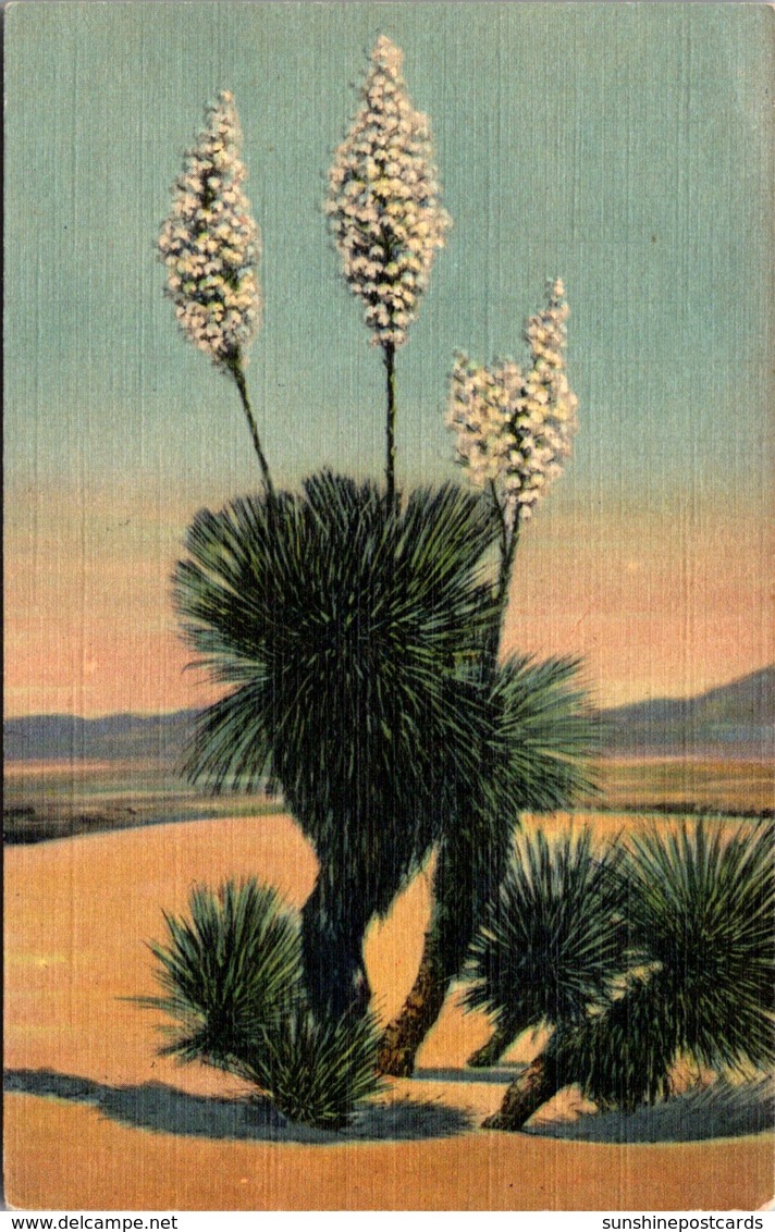 Cactus Desert Yucca In Bloom Curteich - Cactusses