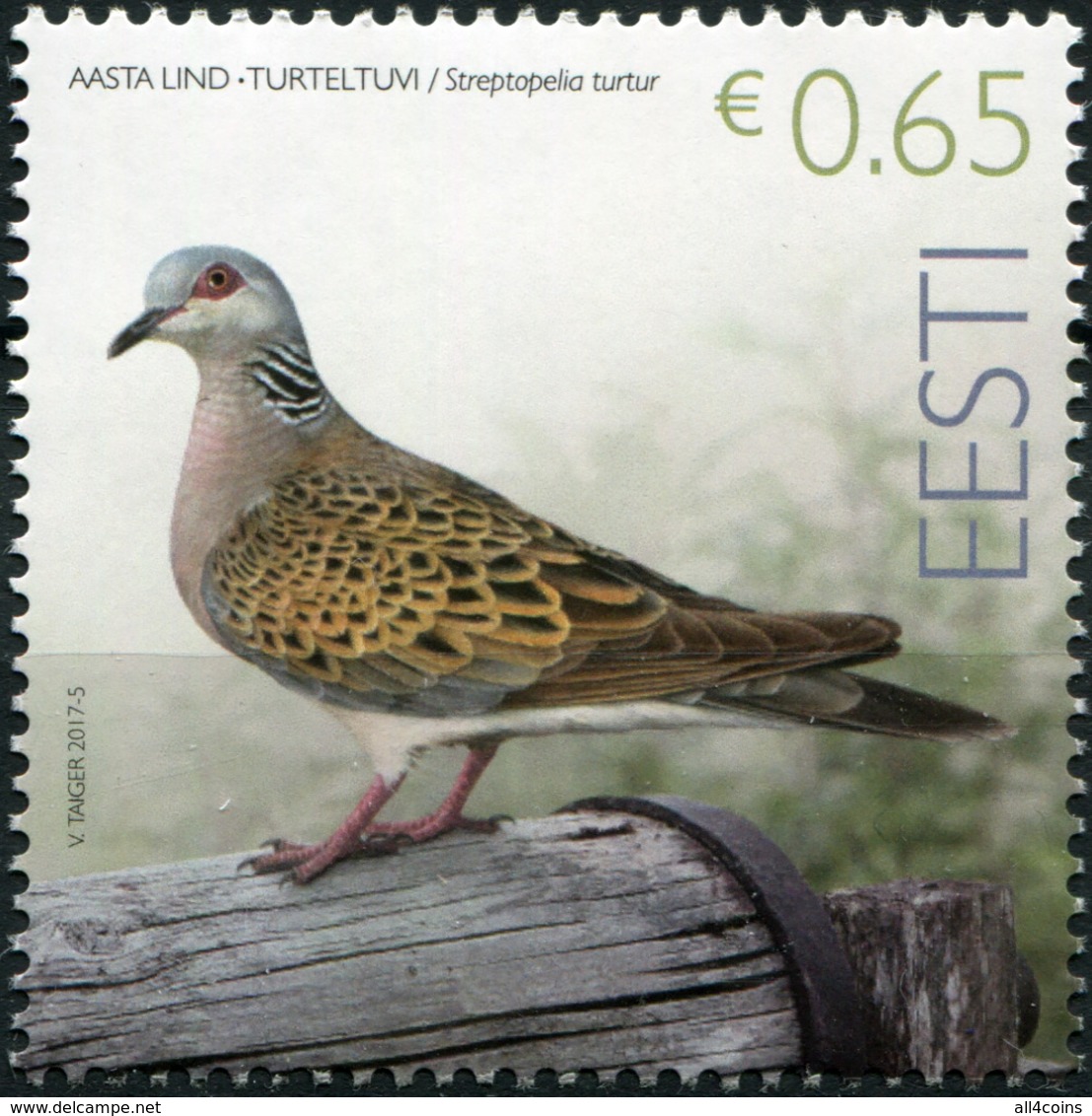 Estonia 2017. Turtledove (MNH OG) Stamp - Estland