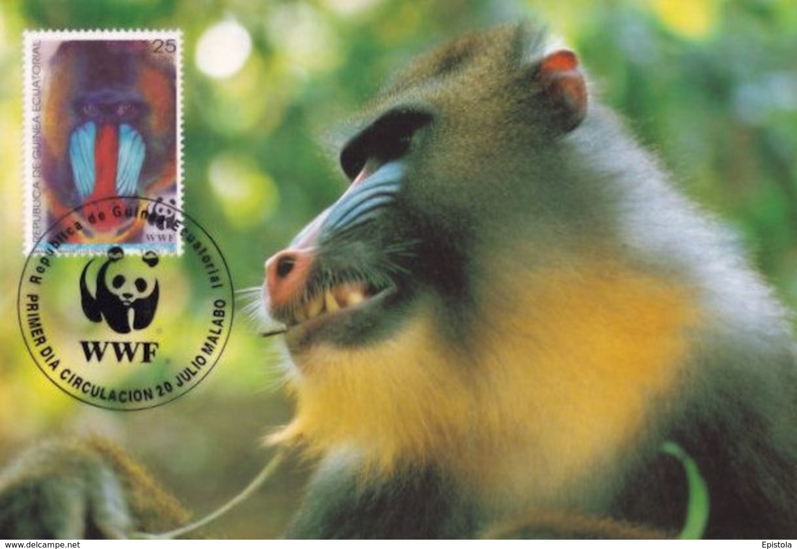 1991 - MALABO GUINEE EQUATORIALE - Republica De GUINEA ECUATORIAL - Mandrill - Guinea Equatoriale