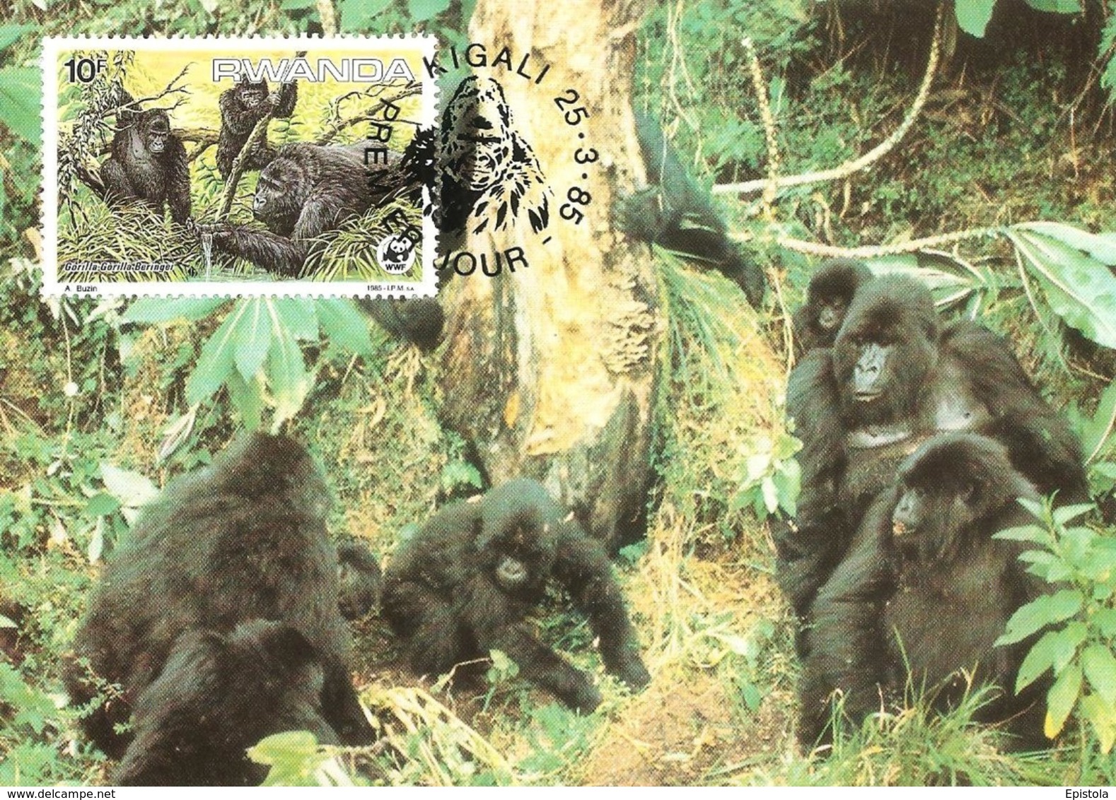 1985 - RWANDA Kigali - Mountain Gorilla - Gorille Des Montagnes - Rwanda