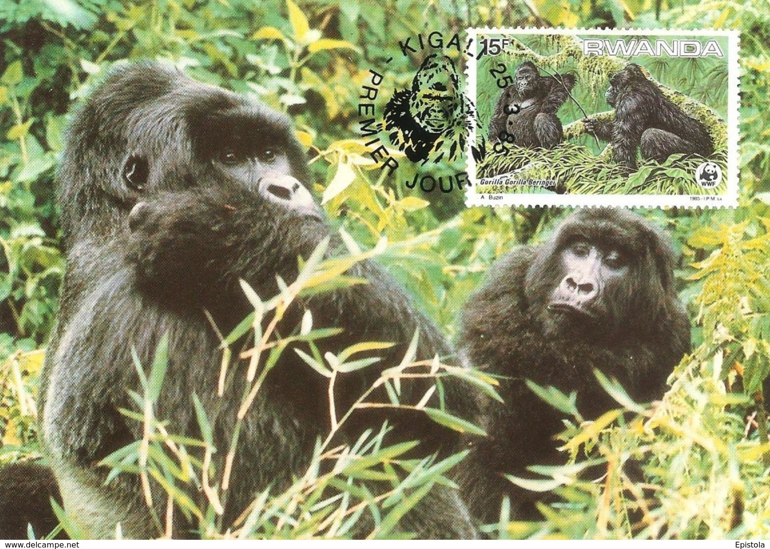 1985 - RWANDA Kigali - Mountain Gorilla - Gorille Des Montagnes - Rwanda