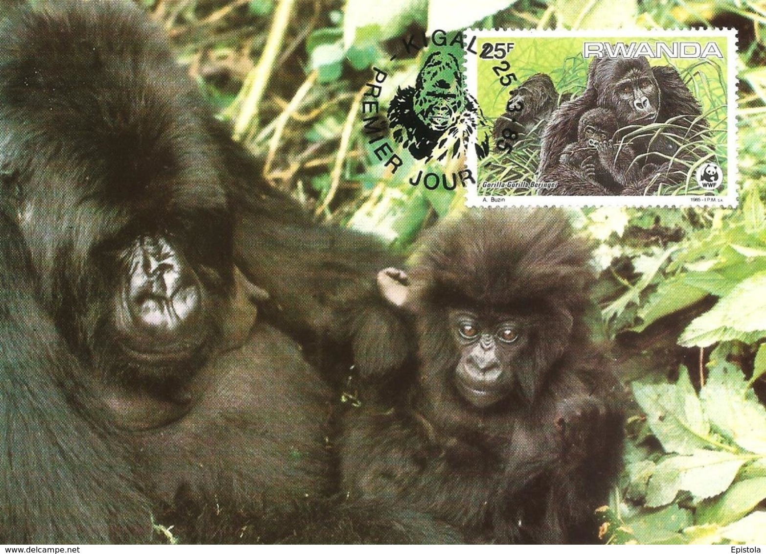 1985 - RWANDA Kigali - Mountain Gorilla - Gorille Des Montagnes - Rwanda