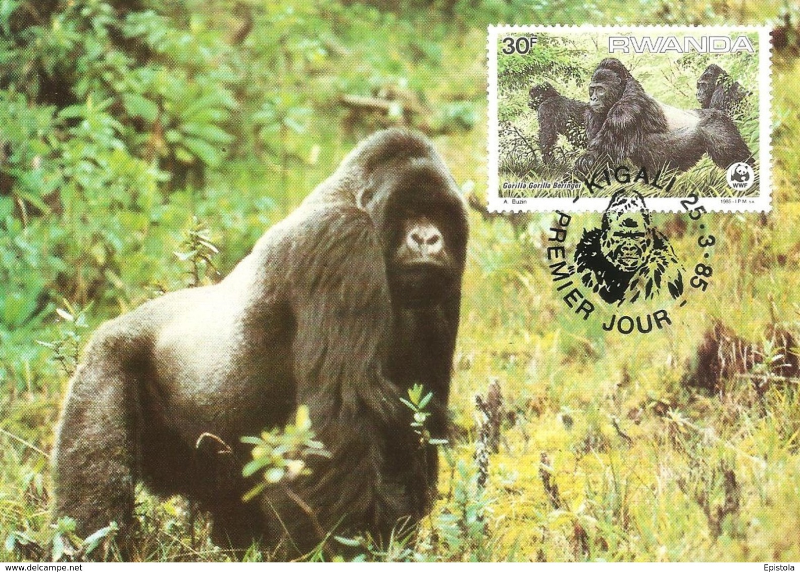 1985 - RWANDA Kigali - Mountain Gorilla - Gorille Des Montagnes - Rwanda